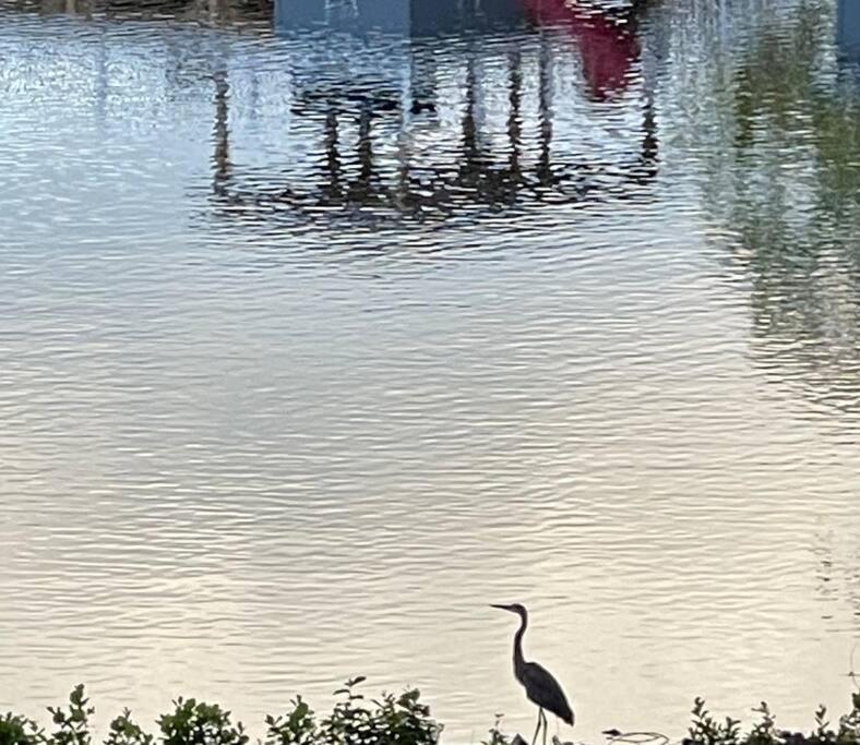 Eagle'S Nest Cottage - Lake Anna Waterfront Bumpass Buitenkant foto